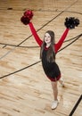 High School cheerleader at a Basketball Game Royalty Free Stock Photo