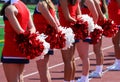 Cheerleaders standing on the sideline holding pom poms behind them