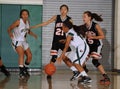 Girls High School Basketball. Royalty Free Stock Photo