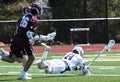 Players falling during a lacrosse game Royalty Free Stock Photo