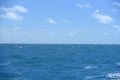 high seas , open ocean blue water whale coast cel azum calm fish fisherman humpback whales beach
