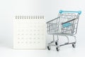 High season holiday shopping, black friday or monthly special offer concept, miniature small shopping cart or trolley with white