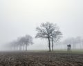 high seat for hunting in green winter field near utrecht in the netherlands on misty winter day Royalty Free Stock Photo