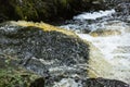 Stop action view of a Connecticut waterfall, amber from tannins