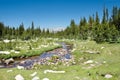 High Sierra Stream Royalty Free Stock Photo