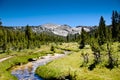High Sierra Stream Royalty Free Stock Photo