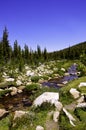 High Sierra Stream Royalty Free Stock Photo
