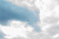 High in the sky a soaring bird against a cloudy sky Royalty Free Stock Photo