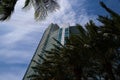 High skyscraper and tree. Living in apartments on Miami Beach. Beautiful high building. Miami Real Estate Florida USA Royalty Free Stock Photo