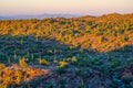 High Sonoran Desert Landscape