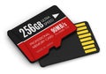 High speed 256GB MicroSD flash memory cards