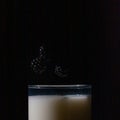 High speed image of blackberry splashing in a glass of milk with drops flying around Royalty Free Stock Photo