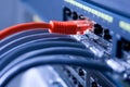 Information Technology Computer Network, Telecommunication Ethernet Cables Connected to Internet Switch, Data Center Concept Royalty Free Stock Photo