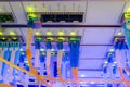 High-speed Internet connection to the master server is in a modern data center.  Many optical links are on the front panel of the Royalty Free Stock Photo