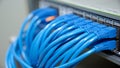 High-Speed Network Switch with Multiple Blue Ethernet Cables Connected for Data Transfer Royalty Free Stock Photo