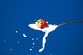 High-speed photo of strawberries falling into milk Royalty Free Stock Photo