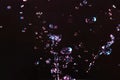 High speed photography of falling drops of water in a black background Royalty Free Stock Photo