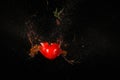 high speed photography tomato shot