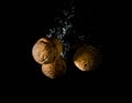 High speed photography walnuts splash in water healthy, nutshell, Royalty Free Stock Photo