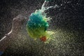 High speed shot of a water filled balloon burst