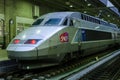 High speed train at Gare Montparnasse Royalty Free Stock Photo