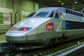 High speed train at Gare Montparnasse Royalty Free Stock Photo