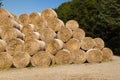 High stacked yellow brown hay bales stored on a forest path in front of a green forest and blue sky Royalty Free Stock Photo