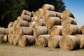 High stacked yellow brown hay bales stored on a forest path in front of a green forest and blue sky, side view, by day no person Royalty Free Stock Photo