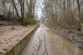 The high state of the river Rhine in western Germany, which emerged from the riverbed, flooded pavement and bicycle path.