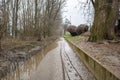 The high state of the river Rhine in western Germany, which emerged from the riverbed, flooded pavement and bicycle path.