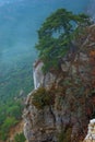 High steep cliffs, spruce on a mountain