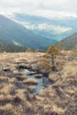 high stone plateau in the mountains with dried grass in a small lake with pine in the national park valley of the waterfall Hused Royalty Free Stock Photo