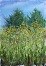 High summer flowers in the meadow, trees, sky, oil painting