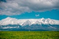 High Tatras during spring time in Slovakia. Field with yellow dandelions Royalty Free Stock Photo