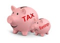 High taxes creative concept, two piggy banks on white