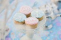 Baby pink and blue cupcakes Royalty Free Stock Photo