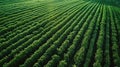 High tech farming landscape precision agriculture with drones and ai for enhanced productivity Royalty Free Stock Photo