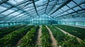 A high-tech greenhouse showcasing advanced agricultural practices