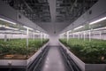 high-tech grow room with automated lighting and ventilation systems