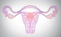 High tech line art of female reproductive system, time, monthly cycle