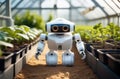 A high-tech mini robot designed for agricultural tasks tends a garden bed in a greenhouse. Plant care, farming Royalty Free Stock Photo