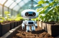 A high-tech mini robot designed for agricultural tasks tends a garden bed in a greenhouse. Plant care, farming Royalty Free Stock Photo