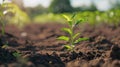 High-Tech Soil Sampling Techniques