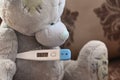 High temperature on an electronic thermometer. bear with a thermometer. baby temperature