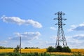 A high-tension line in the field of sunflowers. Royalty Free Stock Photo