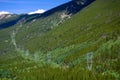 High Tension Power lines on a Mountain Covered in Pine Trees Royalty Free Stock Photo