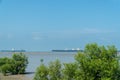 High tide mangrove forest with steamship and blue sky background at Tanjung Piai National Park, Malaysia