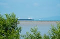 High tide mangrove forest with steamship and blue sky background at Tanjung Piai National Park, Malaysia Royalty Free Stock Photo