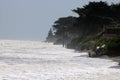 Coastal erosion, high tide, Raumati Beach NZ Royalty Free Stock Photo