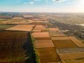 High top view of fields of corn, wheat and sunflower in rural agricultural countryside